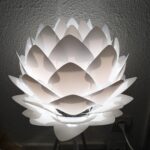 valerie joly reflexo perpignan
